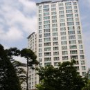 향남삼성내과 네이버블로그
