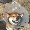 곡교천로 이미지