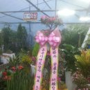 경북농약농자재할인마트 이미지