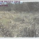 경주시양북면용동보건진료소 | [ 양북면, 경매 ] 경주시 양북면 용동리 1193 경매매물