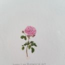 이웃 제니리님께서 보내주신 엽서후기