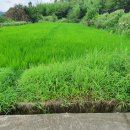 현진2농장 이미지