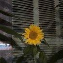 우리동네 짱 오락실 이미지