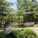 한솔화원 이미지