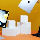 Beauty in Dog's 이미지