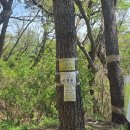 기와 집 | 부산 겹벚꽃 명소 다녀온 날, 만덕고개 기와집 오리고기 후기