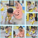 창동백호태권도장 이미지