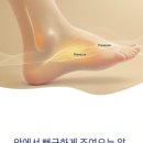 하지웰심장혈관흉부외과의원 이미지