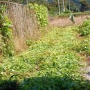 카스 노래연습장 이미지