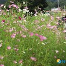 남하심소정 이미지