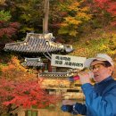 썸네일2 이미지