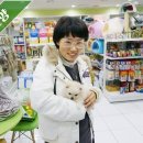 스타멍스 | 울산애견샵 스타멍스 후기입니다!
