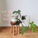 위트앤그라스 네이버블로그