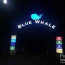 블루웨일 빌리지 이미지