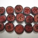 은미농장 이미지