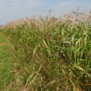 우리친구 이미지