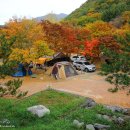 덕유대자동차야영장 이미지