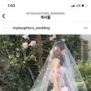 모니크벨르 이미지