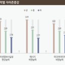 본미디어