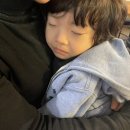심바는 크리스마스 네이버블로그