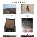 거광무역