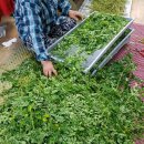 한누리농장 이미지