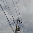 연미정 민박 이미지