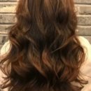 헤어고고 이미지