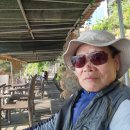 서해 을왕리해수욕장을 찾아서 (바캉스-1)를~~~ 이미지