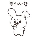 브로모터스 이미지