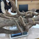 원용농장 이미지