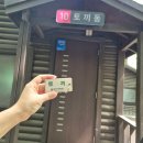성수기 1박2일 55,000원 숲놀이터 놀거리 가득한 영인산 자연휴양림 후기 (영인산수목원)