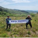 임가농장 이미지