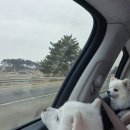 헤이커멍 이미지