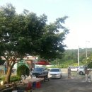 솔이네민박 이미지