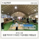 닭사랑농장 | 시흥 아기랑 갈만한곳 동물먹이 무료인 온동물체험농장 방문후기