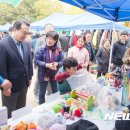 강서구-21 이미지