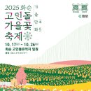 꽃 티스토리