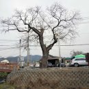 경산지역 이미지