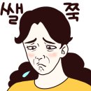 아이러브마이독 네이버블로그