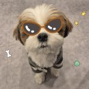 우진의료재단 이미지