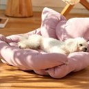 마이펫하우스 이미지