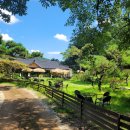 예이제448 이미지