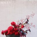 바이에잇 이미지