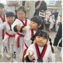 용인대MTA 태권도장 이미지