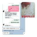 로젤리