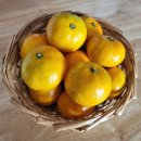 다이소(고잔점) 이미지