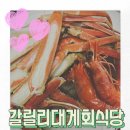 포항 대게 맛집 갈릴리대게회식당 영덕대게 포장 후기
