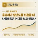 곽산 | 홍경래가 평안도를 뒤흔들 때, 나폴레옹은 어디를 보고 있었나