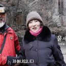이원발 카카오 검색결과